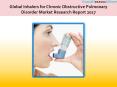 Global Inhalers for Chronic Obstructive Pulmonary Disorder Market Research Report 2017 PowerPoint PPT Presentation