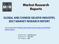 Global Gelatin Industry with a focus on the Chinese Market PowerPoint PPT Presentation