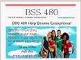BSS 480 Help Bcome Exceptional/ snaptutorial.com PowerPoint PPT Presentation