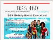 BSS 480 Help Bcome Exceptional/ snaptutorial.com