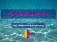 Future vacations Reviews /Future Vacations jayanagar Bangalore PowerPoint PPT Presentation