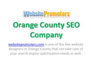 Orange County SEO Company - websitepromoters.com (1)