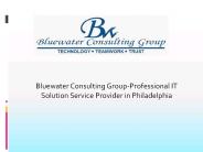 Bluewater Consulting Group-Professional IT Solution Service Provider in Philadelphia