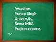 Awadhes Pratap Singh University, Rewa MBA Project reports PowerPoint PPT Presentation