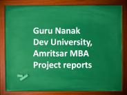 Guru Nanak Dev University, Amritsar MBA Project reports