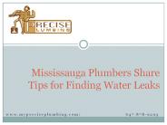 Mississauga Plumbers Share Tips for Finding Water Leaks .
