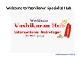 Services offer by Vashikaran Specialist Hub PowerPoint PPT Presentation