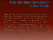 Best Seo Services Agency In Singapore | BThrust