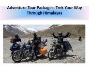 Adventure Tour Packages: Trek Your Way Through Himalayas