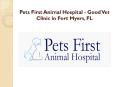 Pets First Animal Hospital - Good Vet Clinic in Fort Myers, FL PowerPoint PPT Presentation