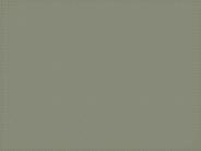 GEN 105 Course Success Begins / snaptutorialcom