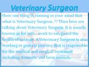 Veterinary Specialists