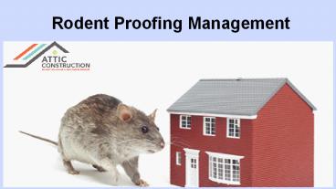 Important Tips to Make Your Home Rodent Free