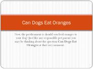 Can Dogs Eat Oranges