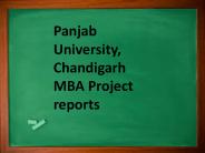 Panjab University, Chandigarh MBA Project reports