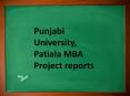 Punjabi University, Patiala MBA Project reports PowerPoint PPT Presentation