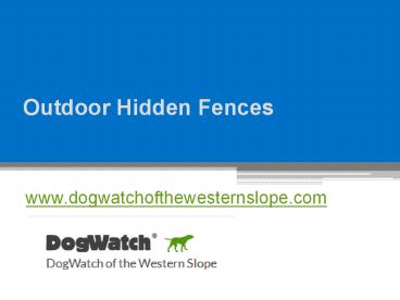 Outdoor Hidden Fences - www.dogwatchofthewesternslope.com (2)