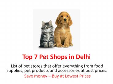 Top 7 Pet Shops in Delhi