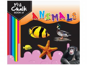 Chalk Book For Kids