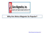 Why Are Alnico Magnets So Popular?