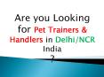 Pet Trainers & Handlers in Delhi/NCR India PowerPoint PPT Presentation