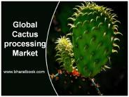 Global Cactus processing Market (1)