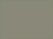 POS 408 Course Success is a Tradition - snaptutorial.com