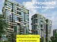 Call: (+91) 9953 5928 48 and Book Luxury Homes | Ozone Promenade, Bangalore PowerPoint PPT Presentation