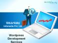 Wordpress Development - Siliconinfo