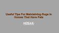 Useful Tips For Maintaining Rugs In Homes That Have Pets PowerPoint PPT Presentation