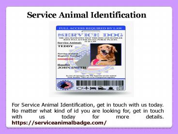 Service Animal ID (2)