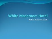 Budget Hotel in Kasauli