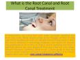 What is the Root Canal and Root Canal Treatment? PowerPoint PPT Presentation