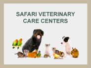 Veterinary Hospital League City