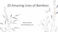 20 Unique uses if bamboo PowerPoint PPT Presentation