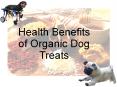 Health Benefits of Organic Dog Treats PowerPoint PPT Presentation