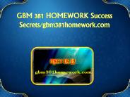 GBM 381 HOMEWORK Success Secrets/gbm381homework.com