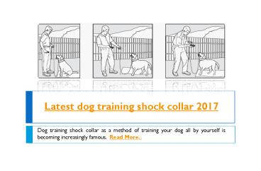 Latest dog training shock collar 2017