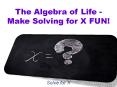 The Algebra of Life - Make Solving for X FUN PowerPoint PPT Presentation