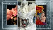 Awesome Uses of Feathers