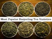 Most Popular Darjeeling Tea Varieties