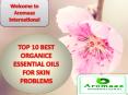 The Top 10 Organic Essential Oils for best Skincare and protect your skin PowerPoint PPT Presentation