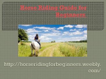 Horse Riding Guide for Beginners