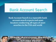 Bank Account Search Review