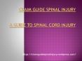 Claim Guide Spinal Injury PowerPoint PPT Presentation