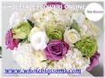 Wholesale Flowers Online  - www.wholeblossoms.com PowerPoint PPT Presentation