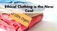 Ethical Clothing is the New Cool PowerPoint PPT Presentation