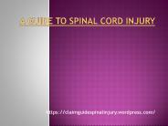 A Guide to Spinal Cord Injury