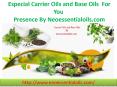 Especial Carrier Oils and Base Oils  For You Presence By Neoessentialoils.com PowerPoint PPT Presentation