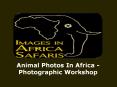 Animal Photos In Africa -Photographic Workshop PowerPoint PPT Presentation